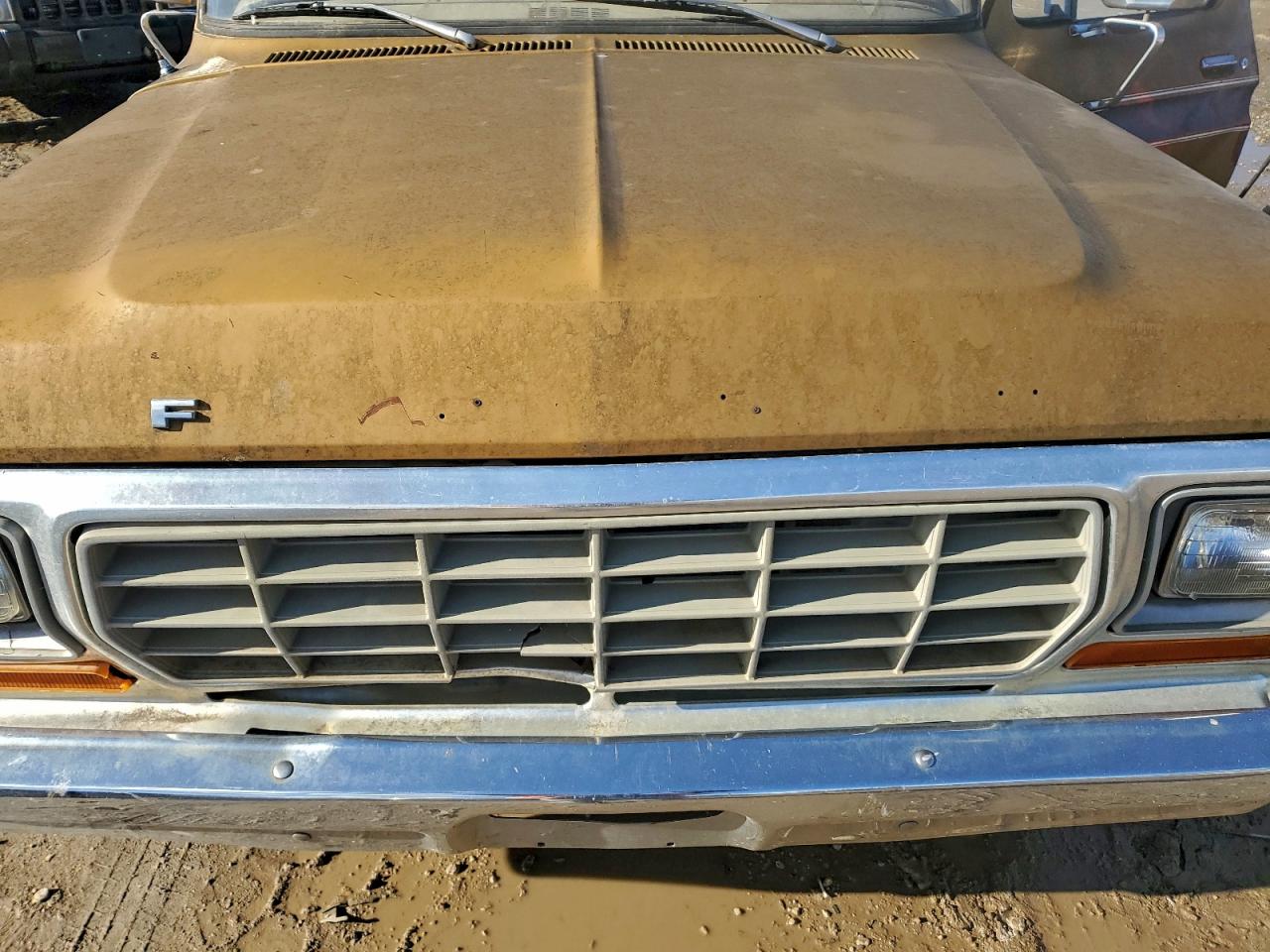 1979 Ford F-150 VIN: F15BPDC2430 Lot: 94336815