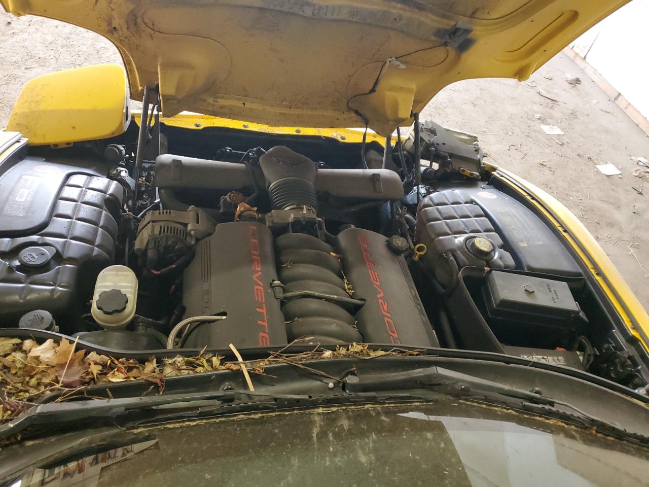 2002 Chevrolet Corvette VIN: 1G1YY22G325109021 Lot: 91243525