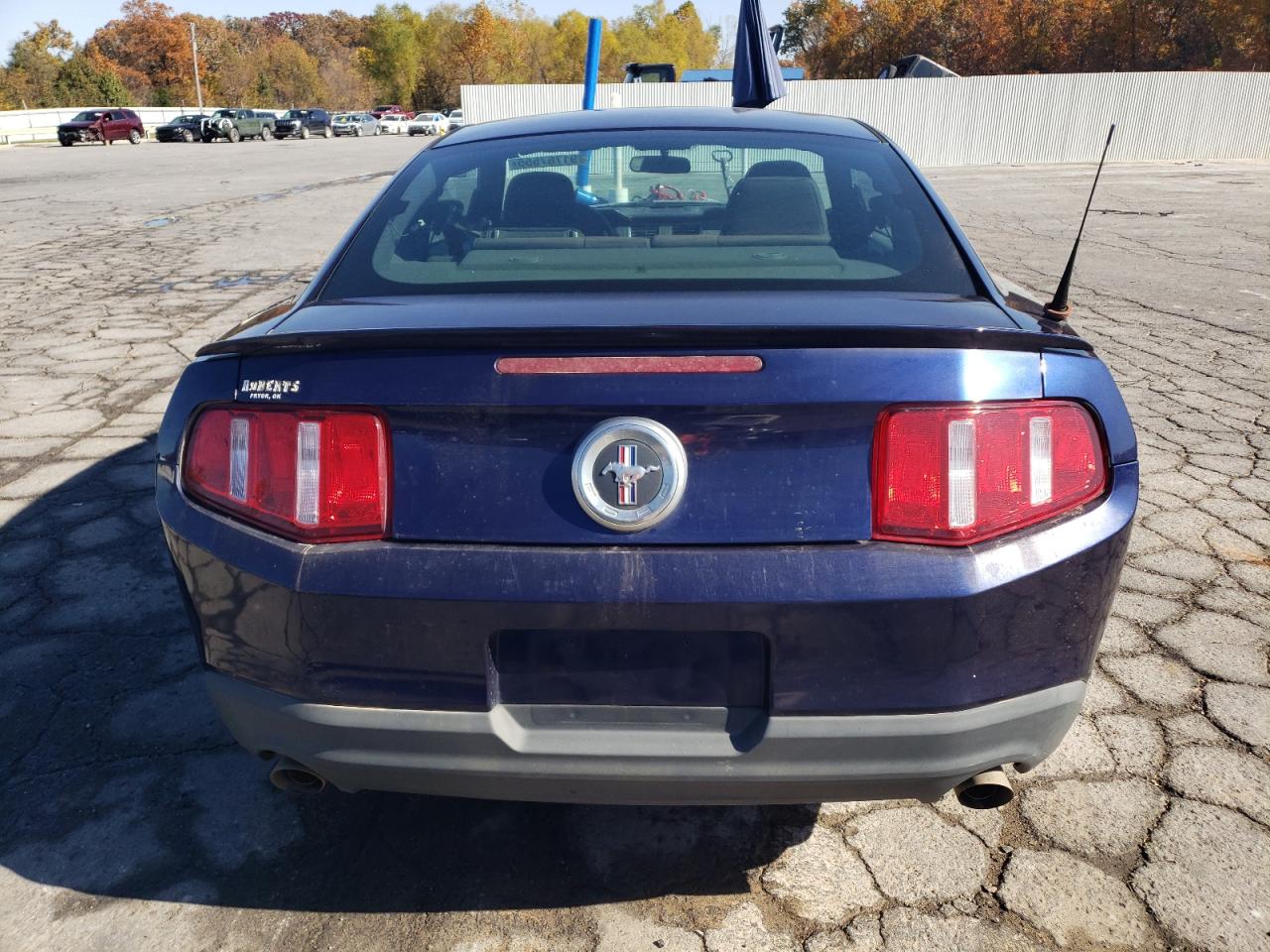 2011 Ford Mustang VIN: 1ZVBP8AM8B5141728 Lot: 91767555