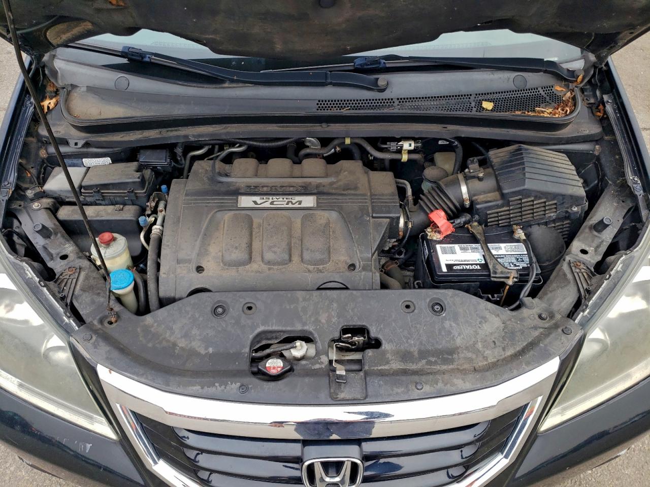 2009 Honda Odyssey Exl VIN: 5FNRL386X9B058091 Lot: 94041775