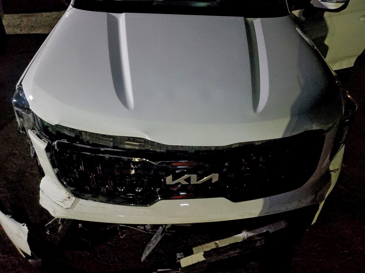 2024 Kia Telluride Sx VIN: 5XYP5DGC6RG499031 Lot: 95015195