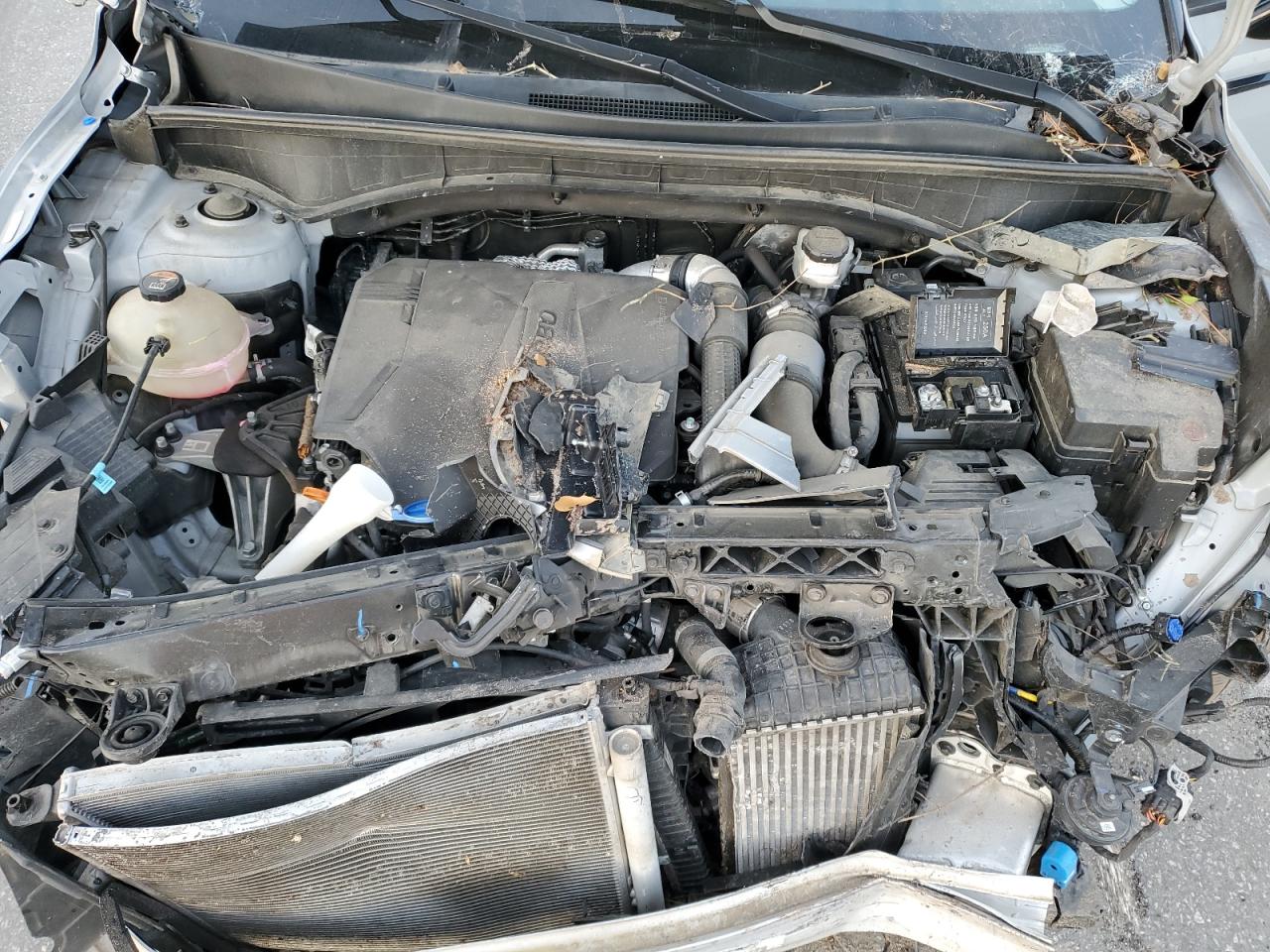 2022 Kia Sorento Sx VIN: 5XYRKDLF9NG109129 Lot: 93375265