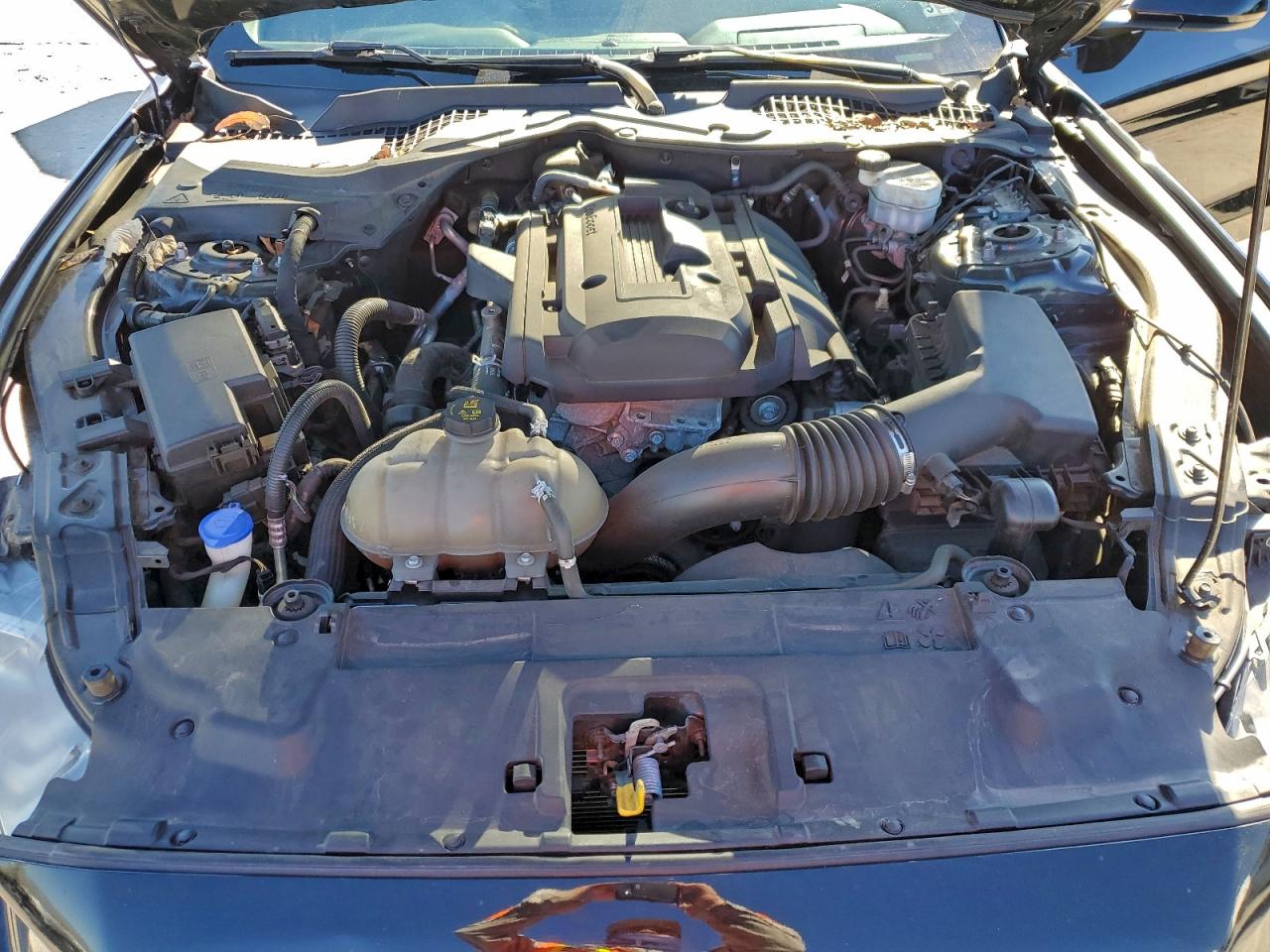 2020 Ford Mustang VIN: 1FA6P8THXL5100562 Lot: 93816055