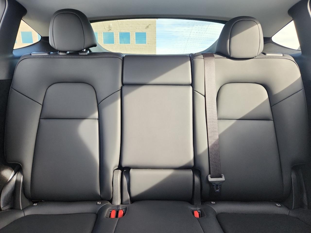 2023 Tesla Model Y VIN: 7SAYGDEE0PA203640 Lot: 93127325