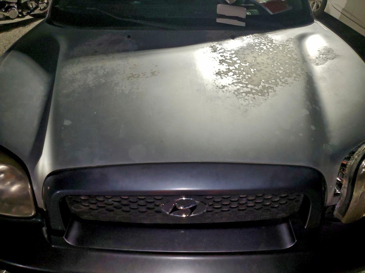 2003 Hyundai Santa Fe Gls VIN: KM8SC13D13U362318 Lot: 95047615