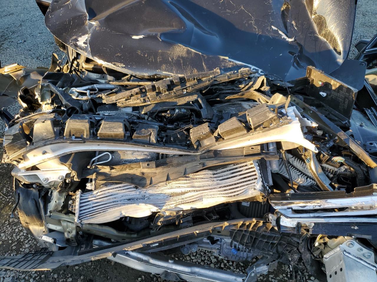 2023 Acura Tlx Technology VIN: 19UUB5F43PA004357 Lot: 93371635