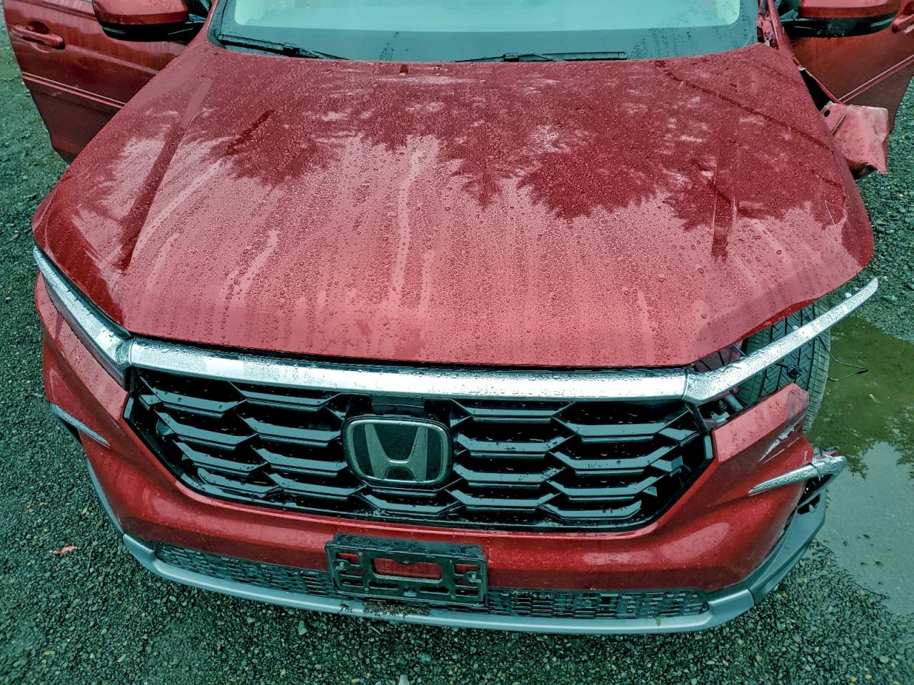 2024 Honda Pilot Touring VIN: 5FNYG1H74RB035032 Lot: 93900305