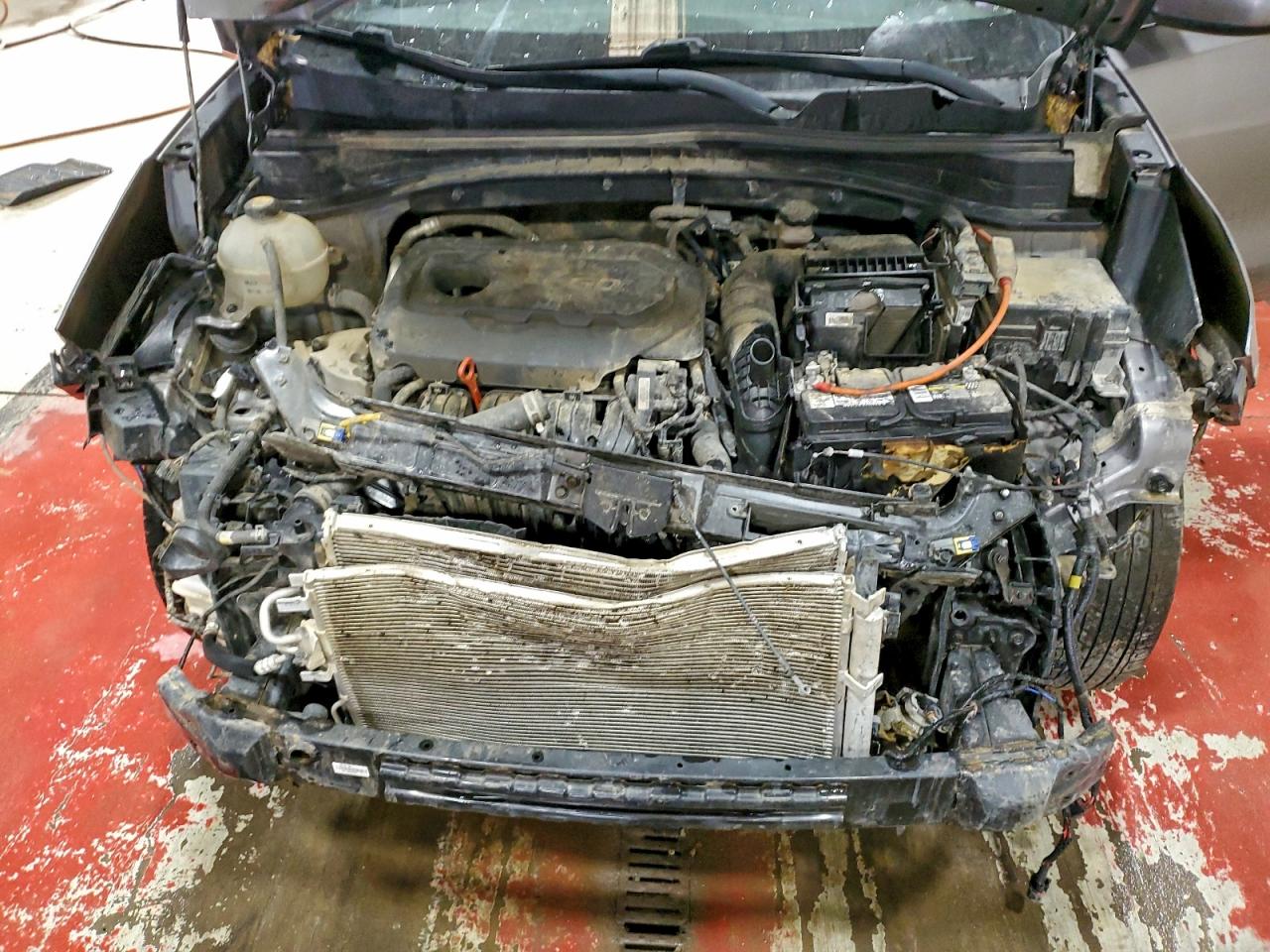 2019 Kia Sportage Lx VIN: KNDPMCACXK7512212 Lot: 94142765