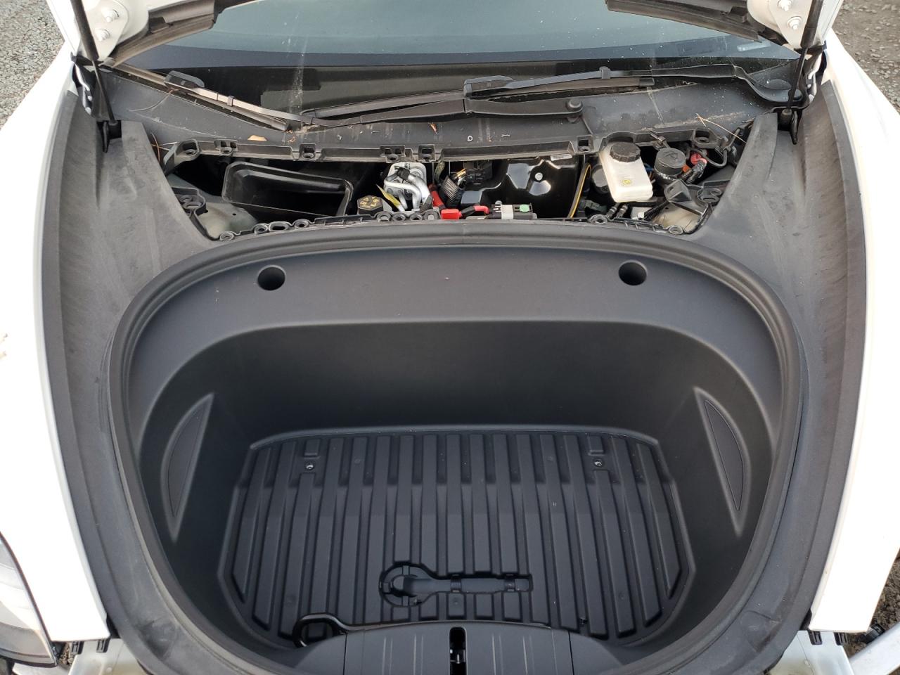 2023 Tesla Model 3 VIN: 5YJ3E1EA3PF548365 Lot: 92117555