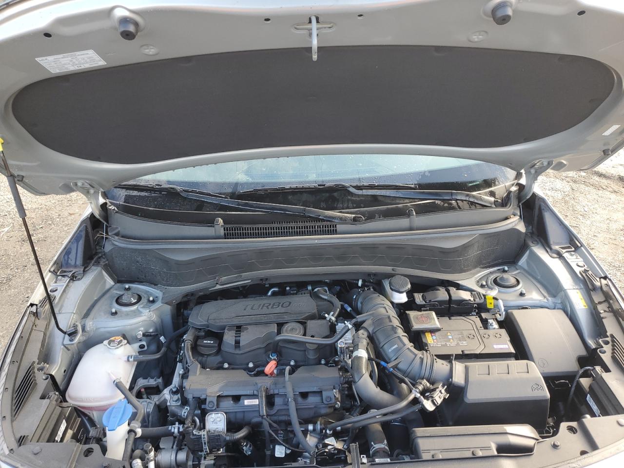 2024 Kia Seltos X Line VIN: KNDEUCA72R7519482 Lot: 93251225