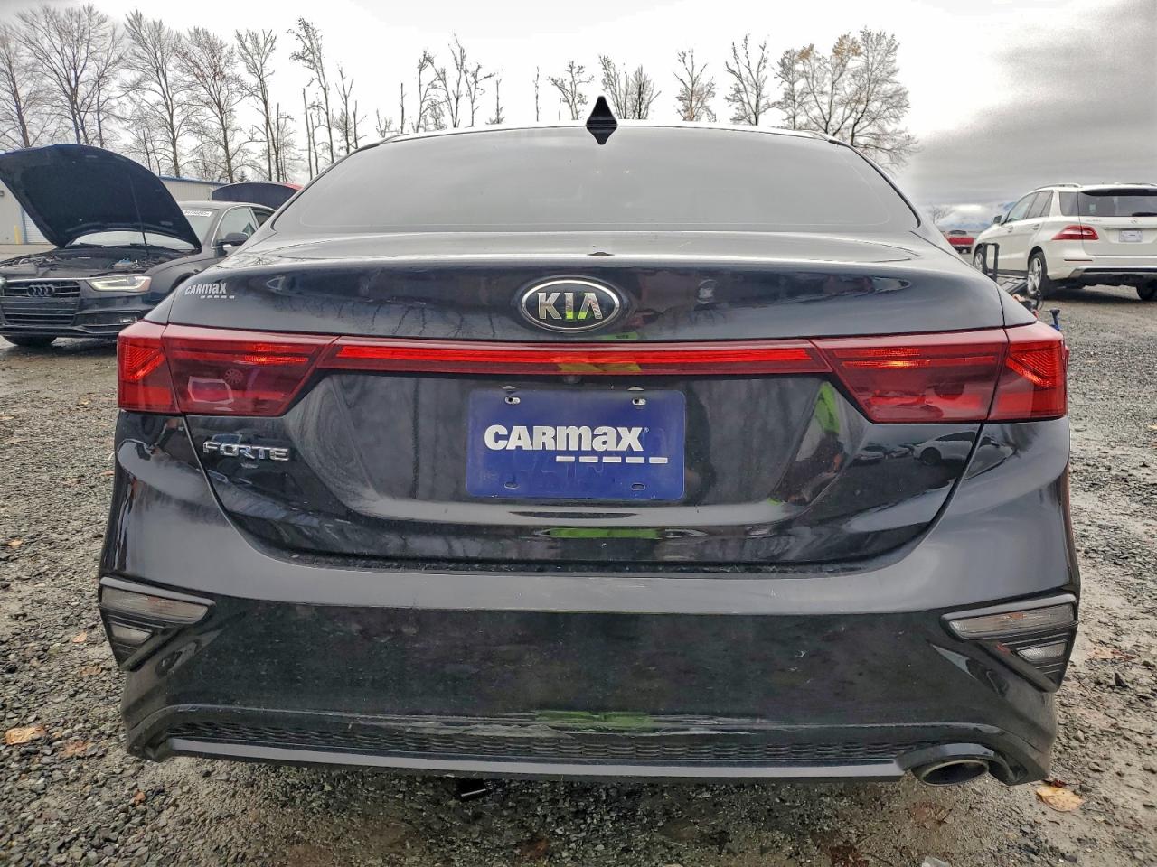 2020 Kia Forte Fe VIN: 3KPF24AD7LE250635 Lot: 94729445