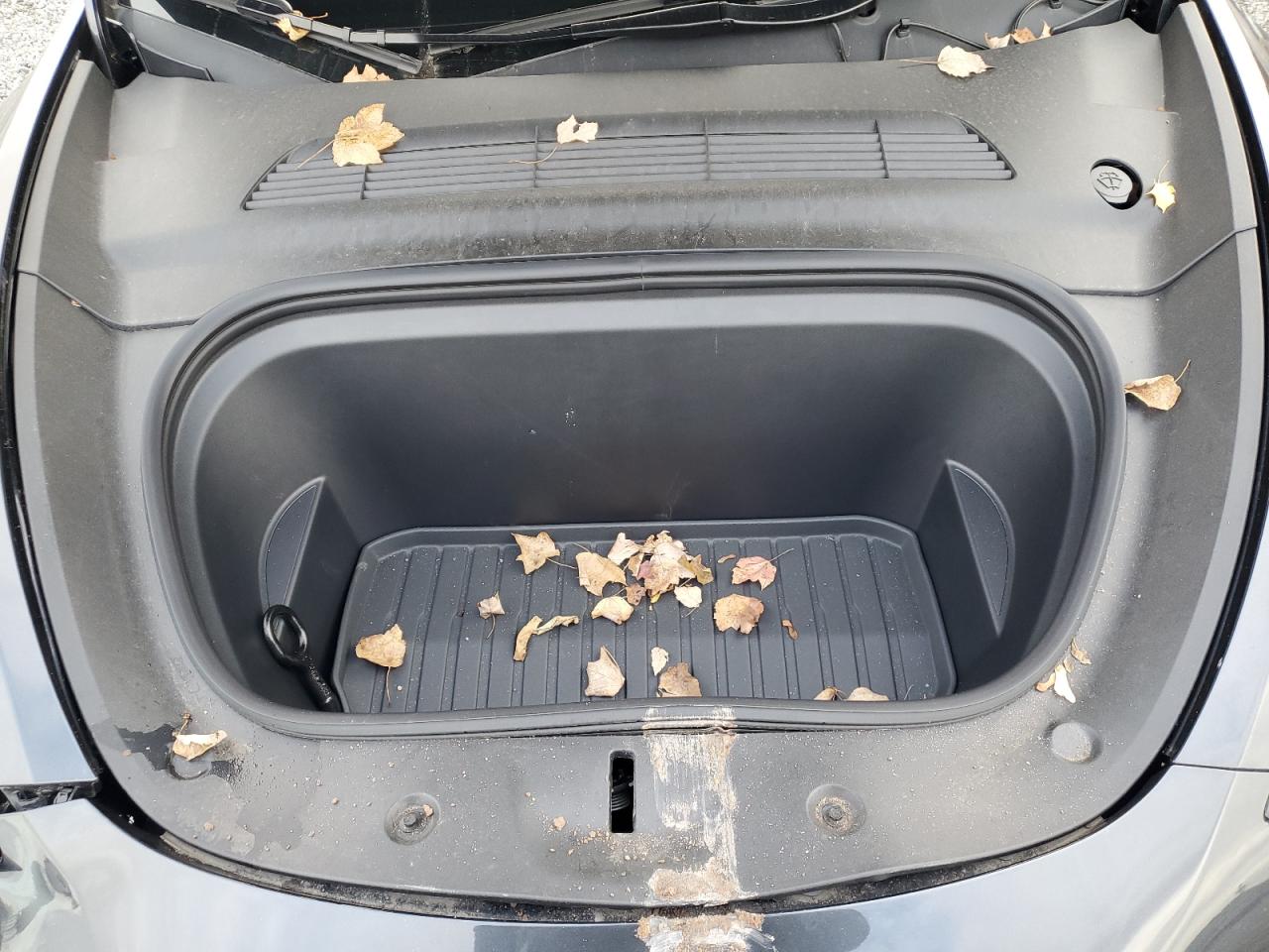 2024 Tesla Model Y VIN: 7SAYGDEE0RF201151 Lot: 93516755