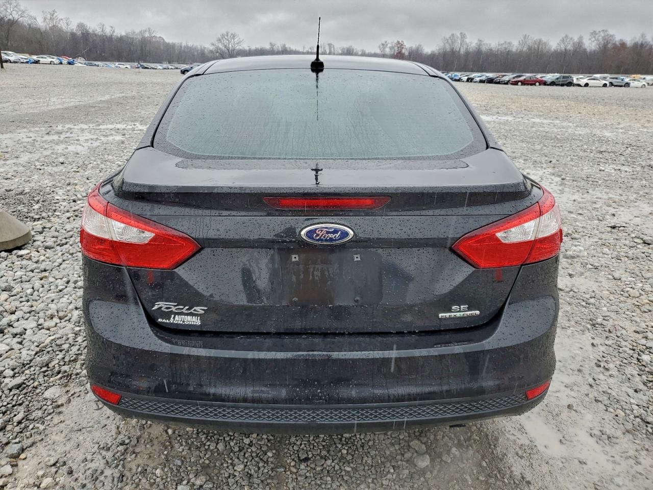 2014 Ford Focus Se VIN: 1FADP3F29EL450071 Lot: 94610795
