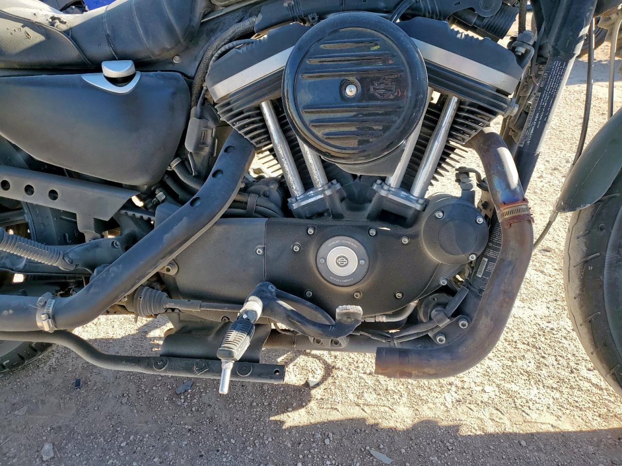 2021 Harley-Davidson Xl883 N VIN: 1HD4LE210MB411175 Lot: 91875205