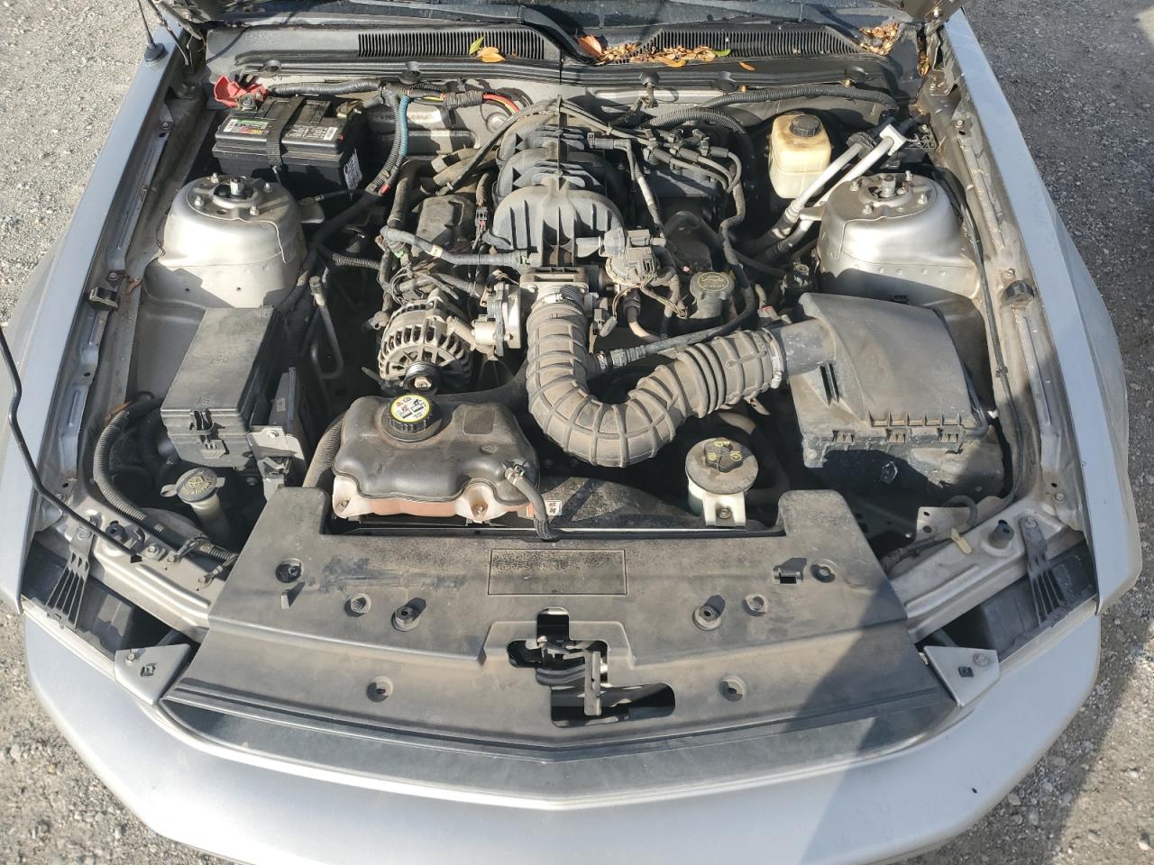 2008 Ford Mustang VIN: 1ZVHT80N685166670 Lot: 92061365