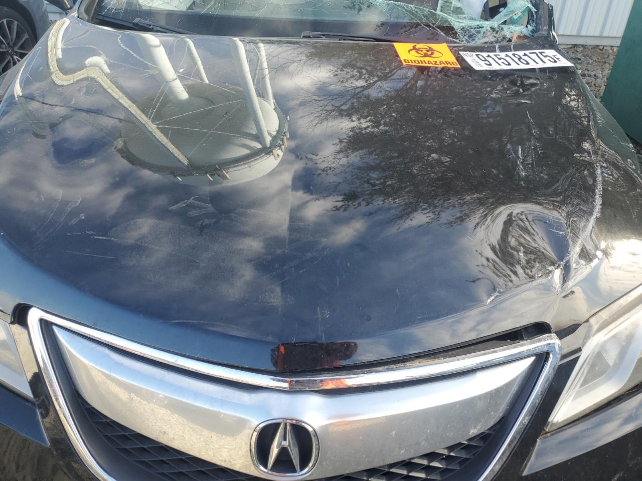 2013 Acura Rdx Technology VIN: 5J8TB4H53DL016522 Lot: 91518175