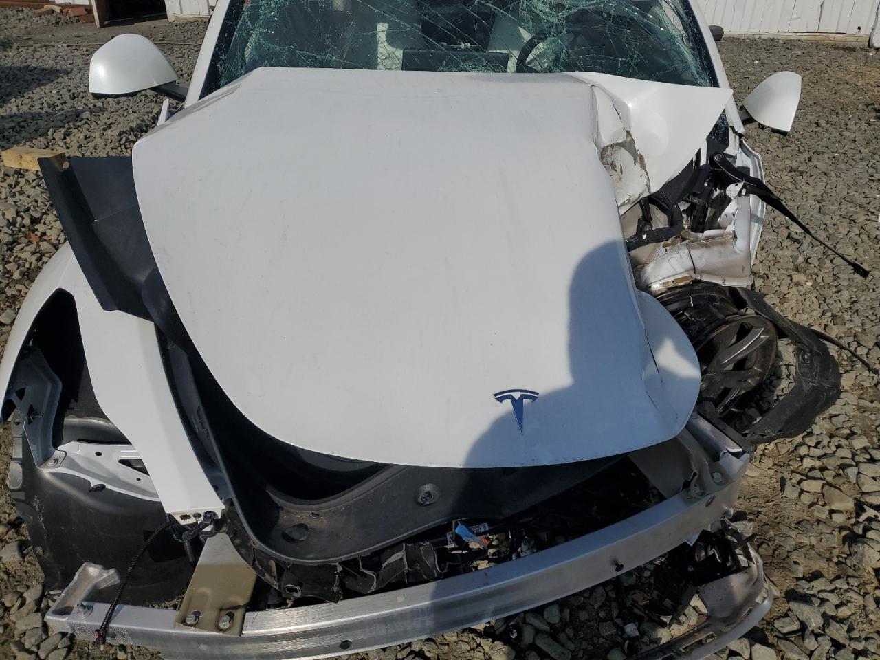 2024 Tesla Model Y VIN: 7SAYGDEE9RF179182 Lot: 92398325