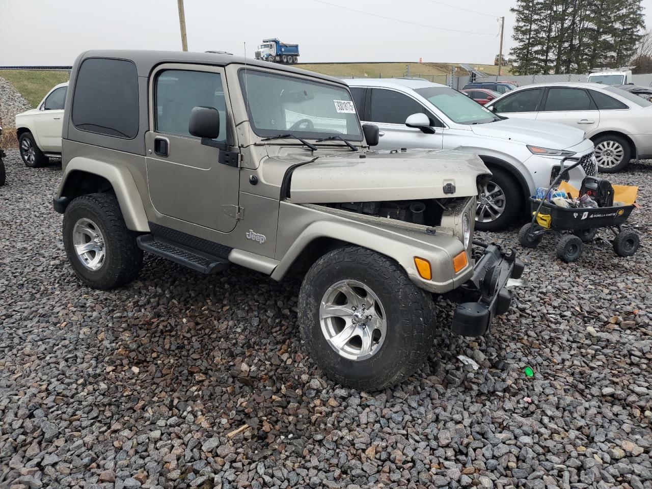 2003 Jeep Wrangler / Tj Sahara VIN: 1J4FA59S63P369086 Lot: 93018175