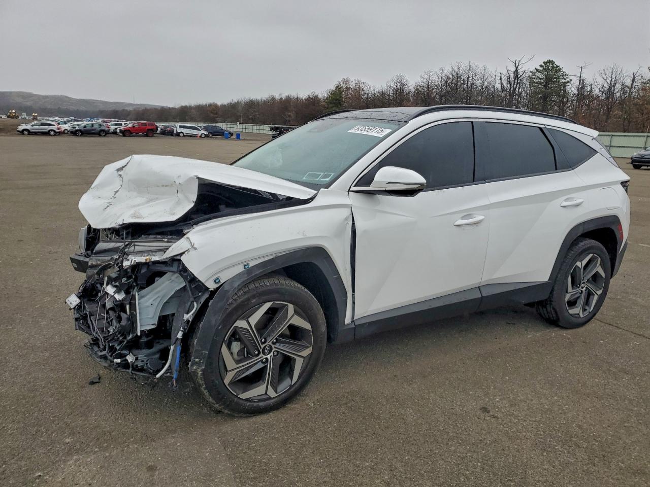 2024 Hyundai Tucson Limited VIN: 5NMJECDE8RH366346 Lot: 93559115