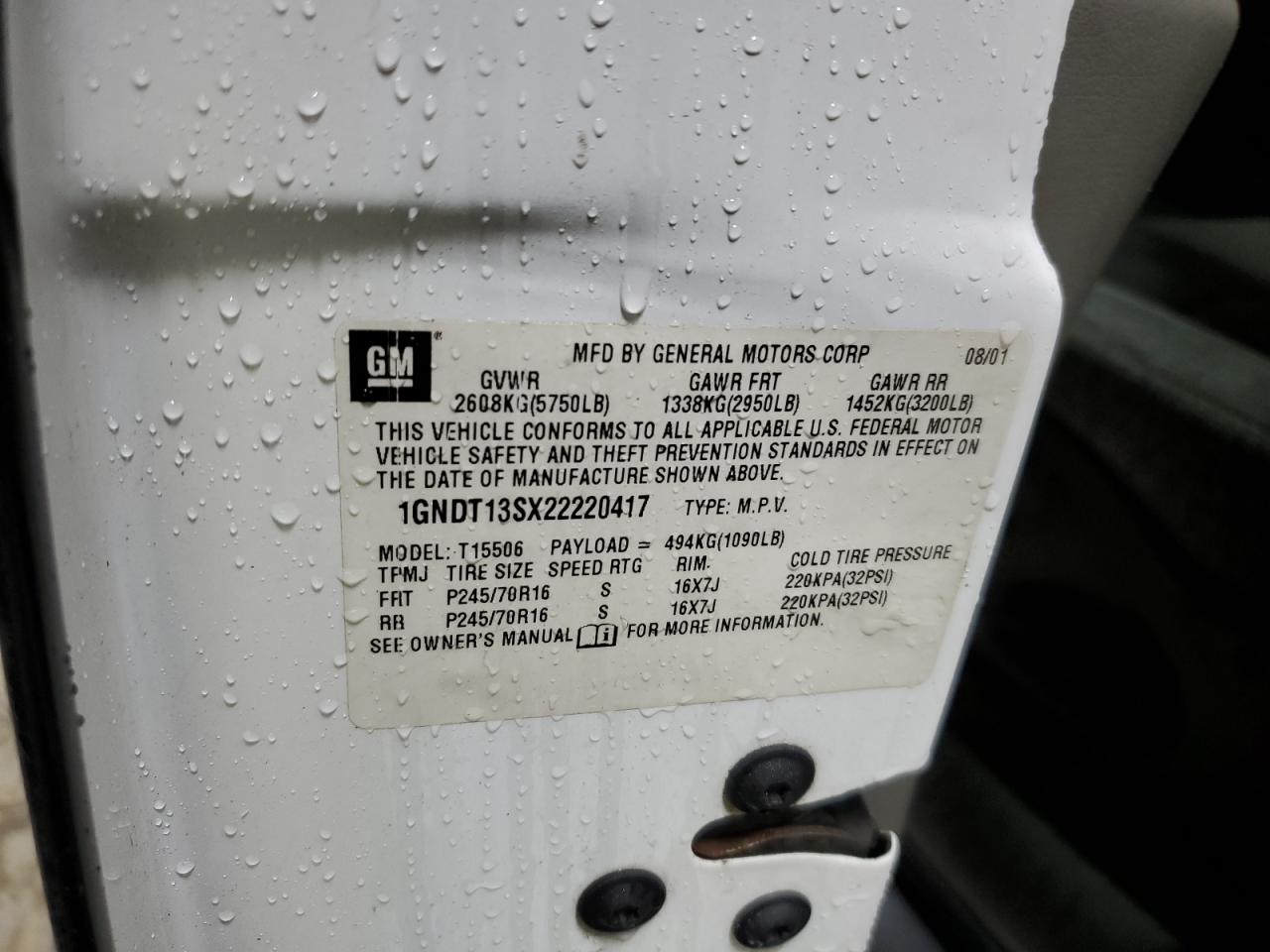 2002 Chevrolet Trailblazer VIN: 1GNDT13SX22220417 Lot: 91077965