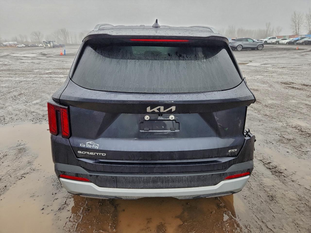 2025 Kia Sorento Lx VIN: 5XYRGDJC7SG384911 Lot: 94422785