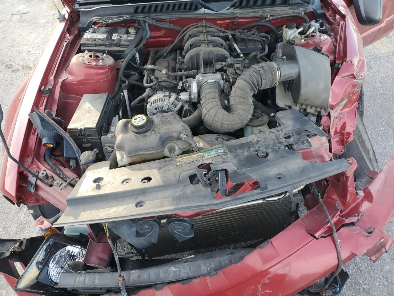 2009 Ford Mustang VIN: 1ZVHT80N995131347 Lot: 92483895