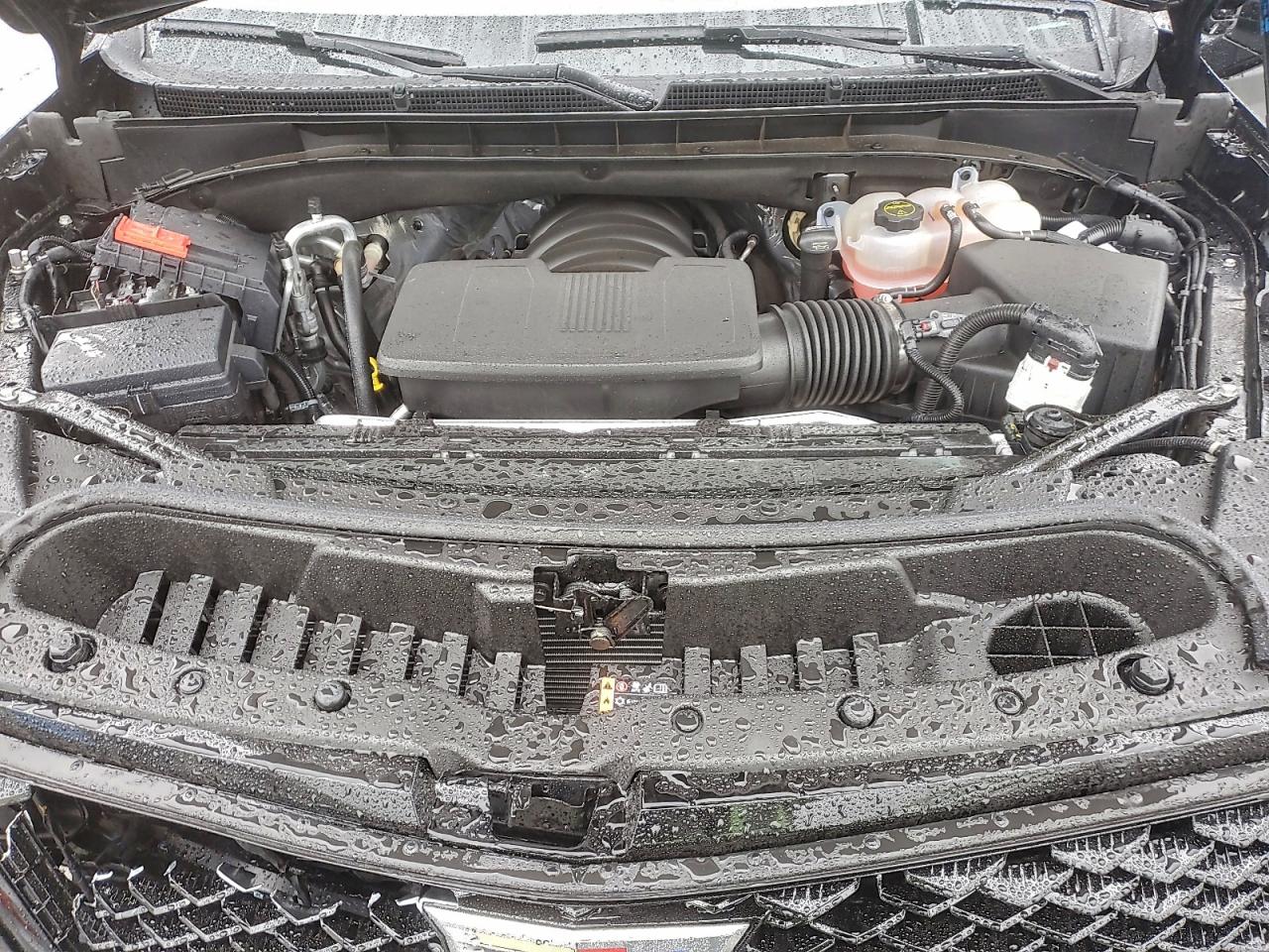 2025 Cadillac Escalade Esv Sport Platinum VIN: 1GYS9RRL3SR317487 Lot: 94393785