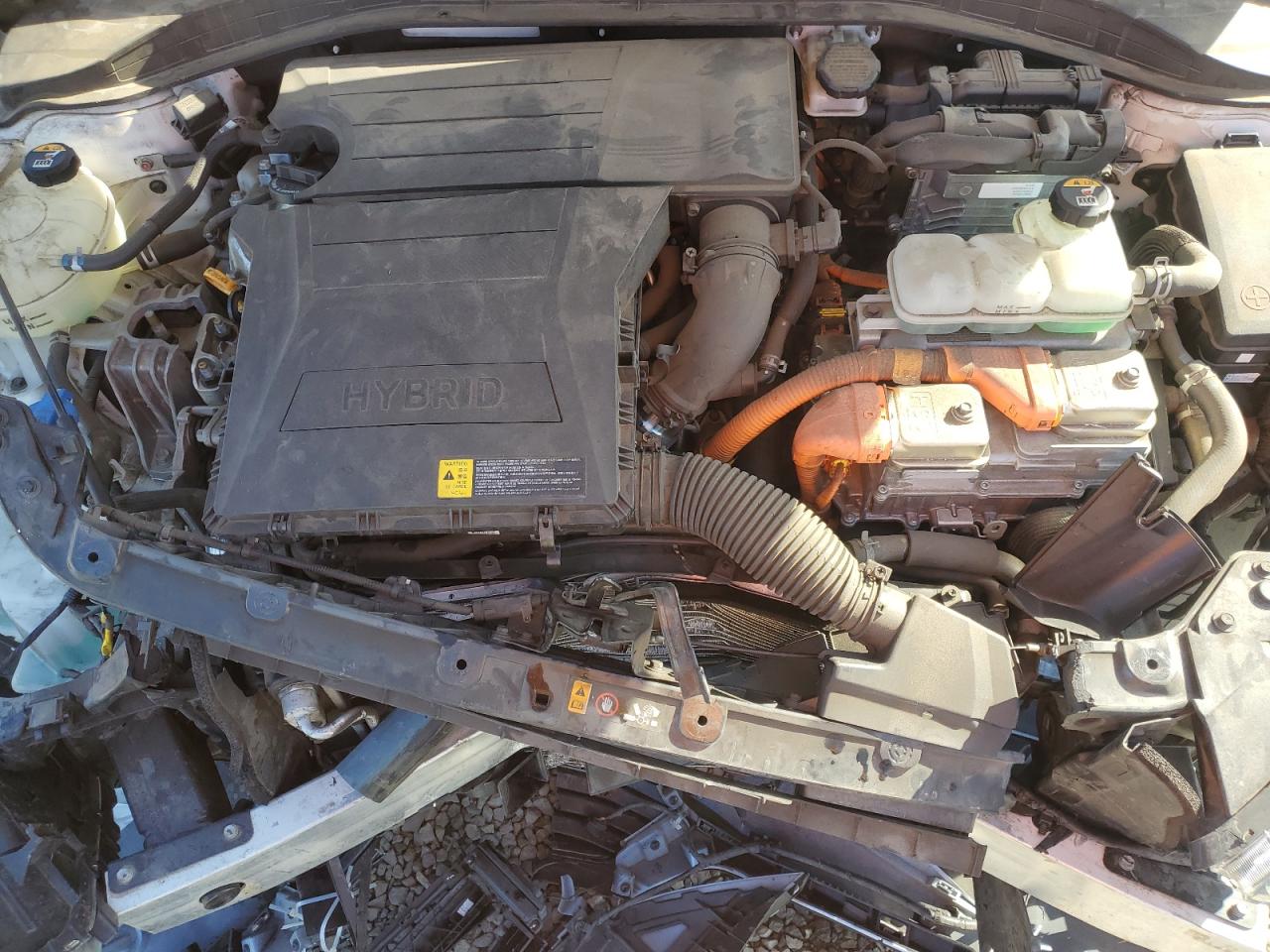 2019 Hyundai Ioniq Blue VIN: KMHC65LC4KU140185 Lot: 92751455