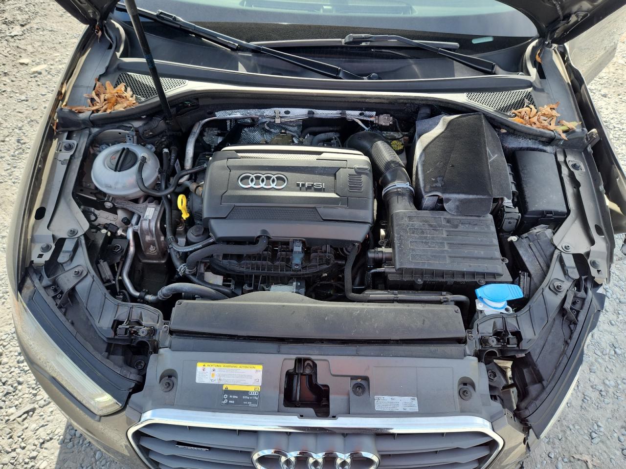 2016 Audi A3 Premium Plus VIN: WAUE8GFF0G1054063 Lot: 93503435