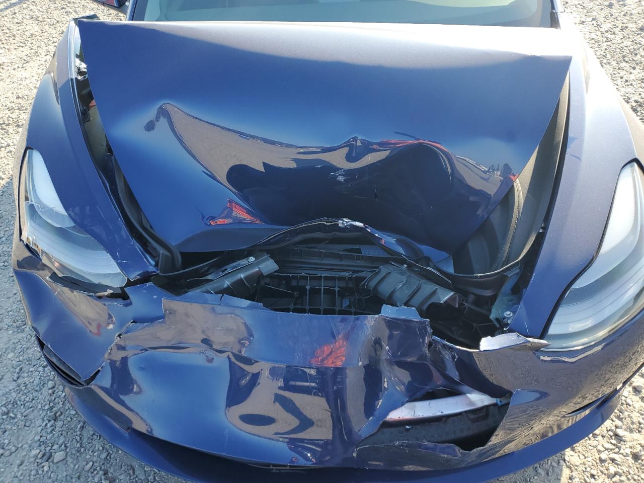 2023 Tesla Model 3 VIN: 5YJ3E1ECXPF519446 Lot: 93687345