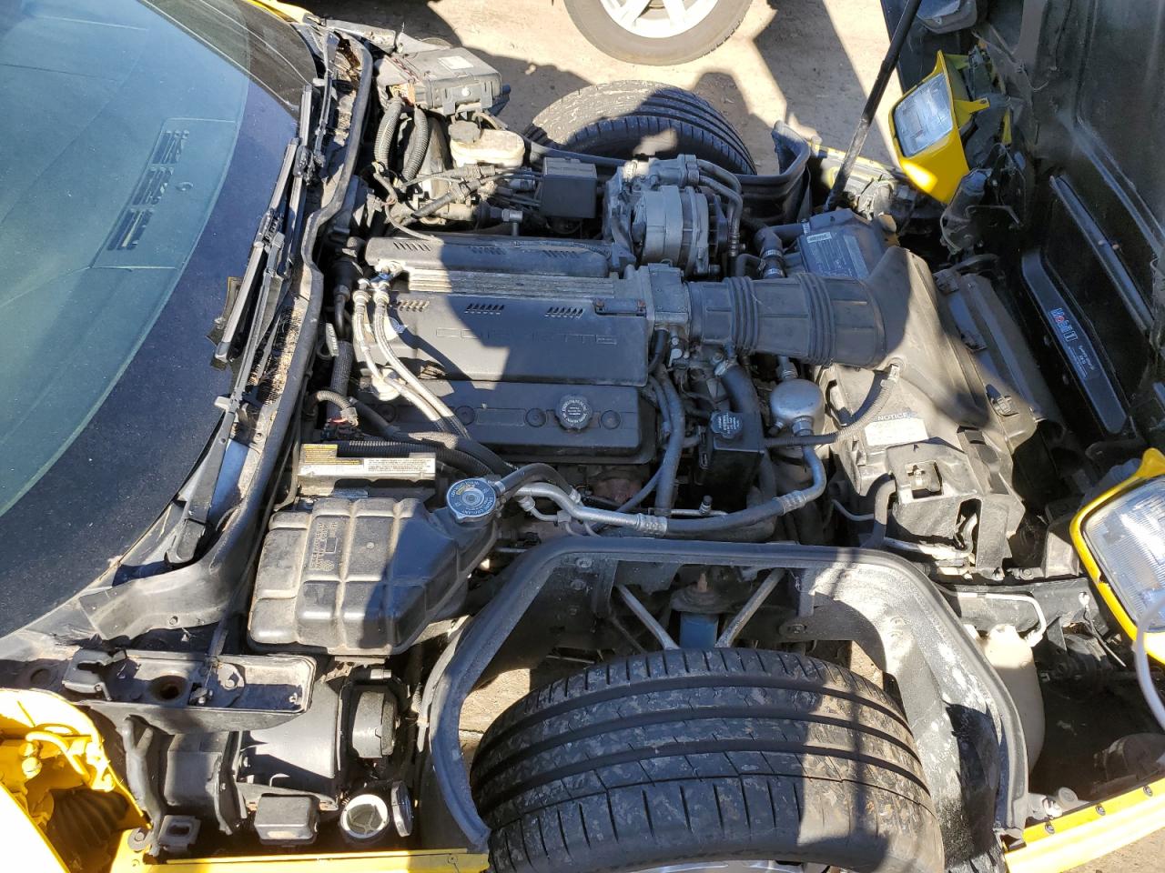 1993 Chevrolet Corvette VIN: 1G1YY23P9P5115010 Lot: 93034205