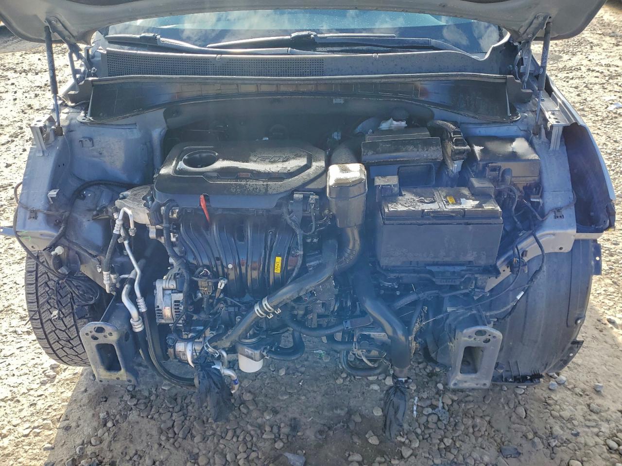 2020 Kia Sorento L VIN: 5XYPGDA38LG659954 Lot: 93303765