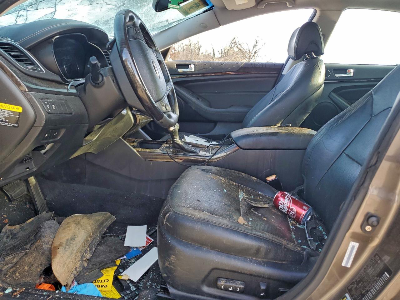 2015 Kia Cadenza Premium VIN: KNALN4D74F5177799 Lot: 94095395