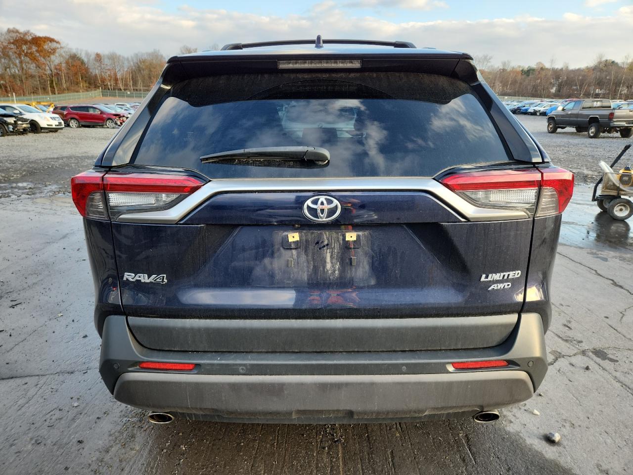 2019 Toyota Rav4 Limited VIN: JTMN1RFV9KD032631 Lot: 92018465