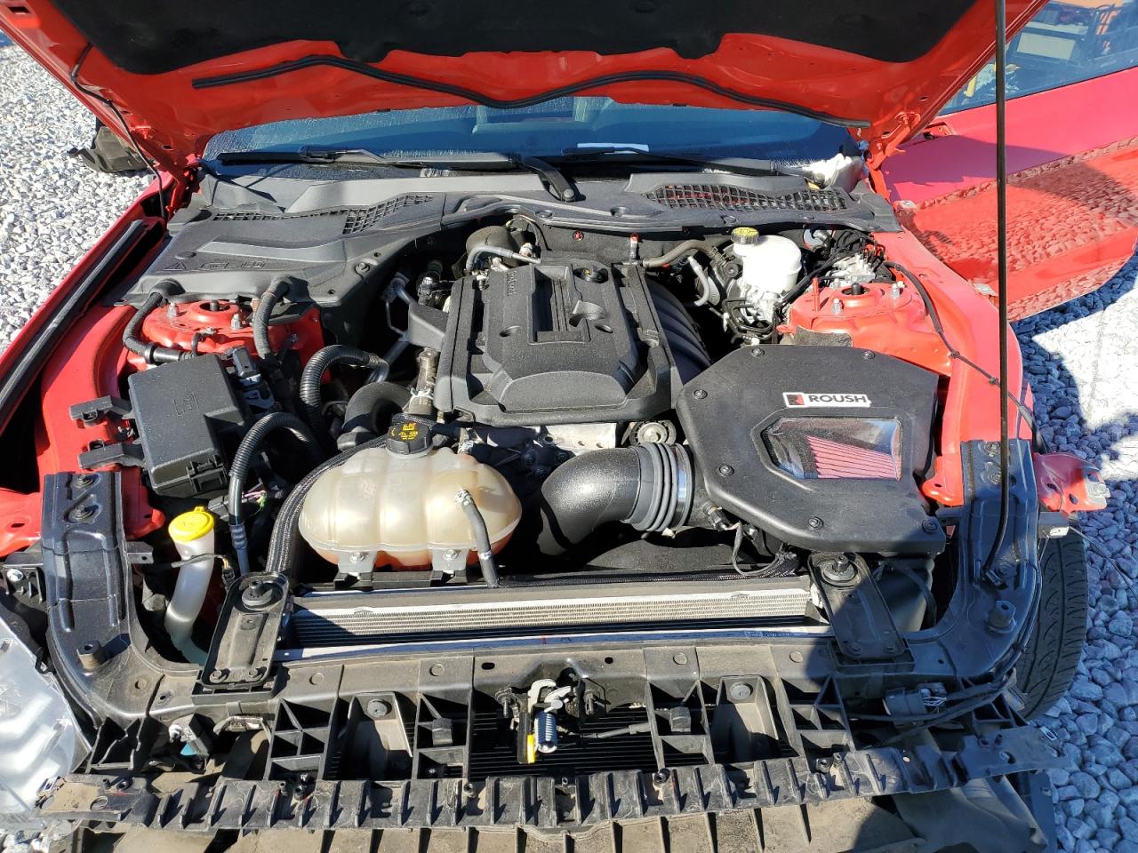 2019 Ford Mustang VIN: 1FA6P8THXK5199401 Lot: 92654205