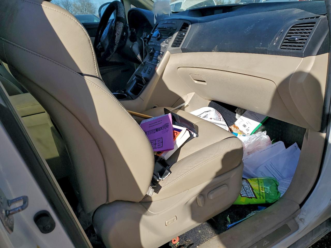 2009 Toyota Venza VIN: 4T3BK11A29U009906 Lot: 93892565