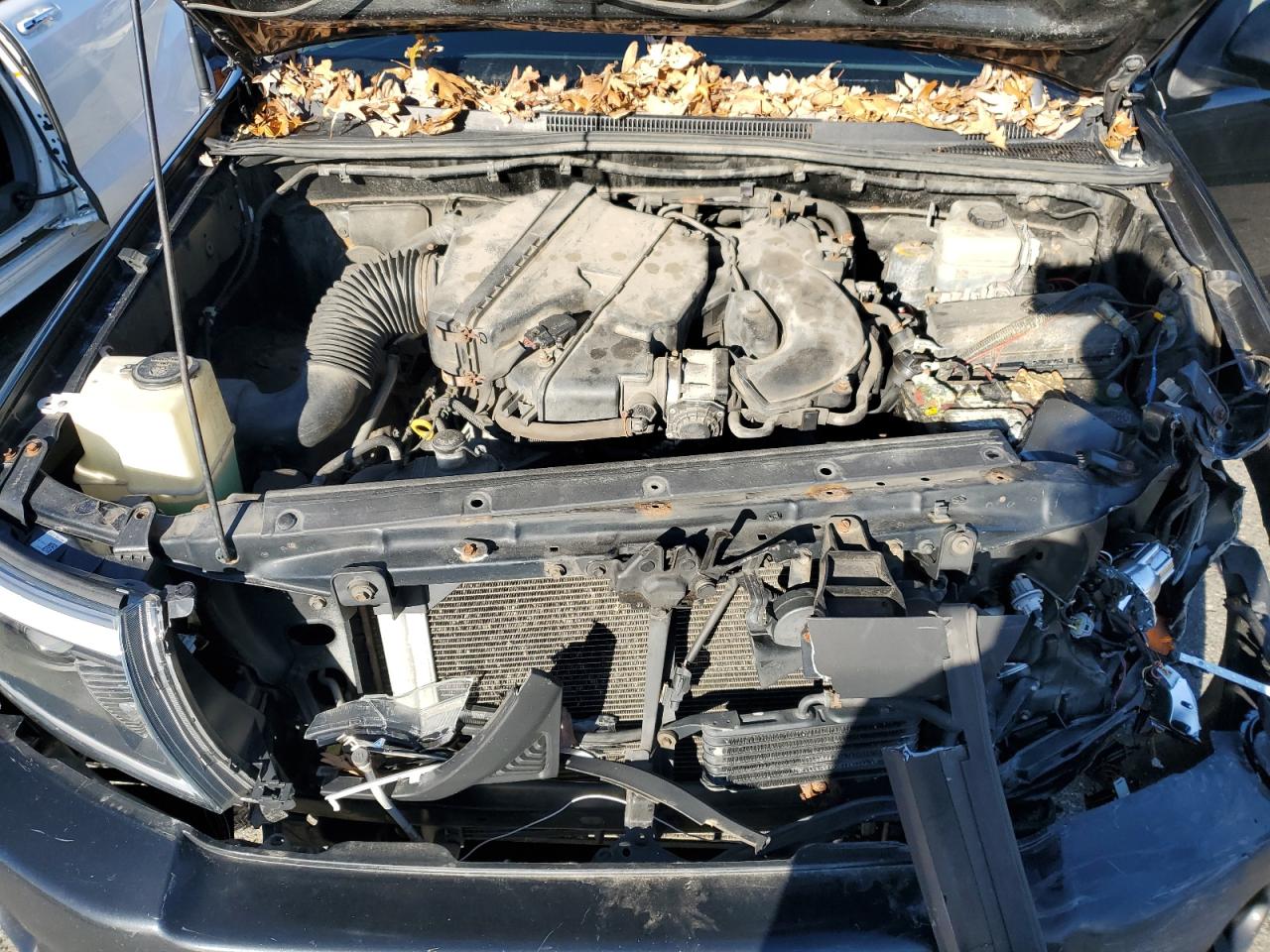 2010 Toyota Tacoma Access Cab VIN: 5TEUU4ENXAZ730744 Lot: 93486305