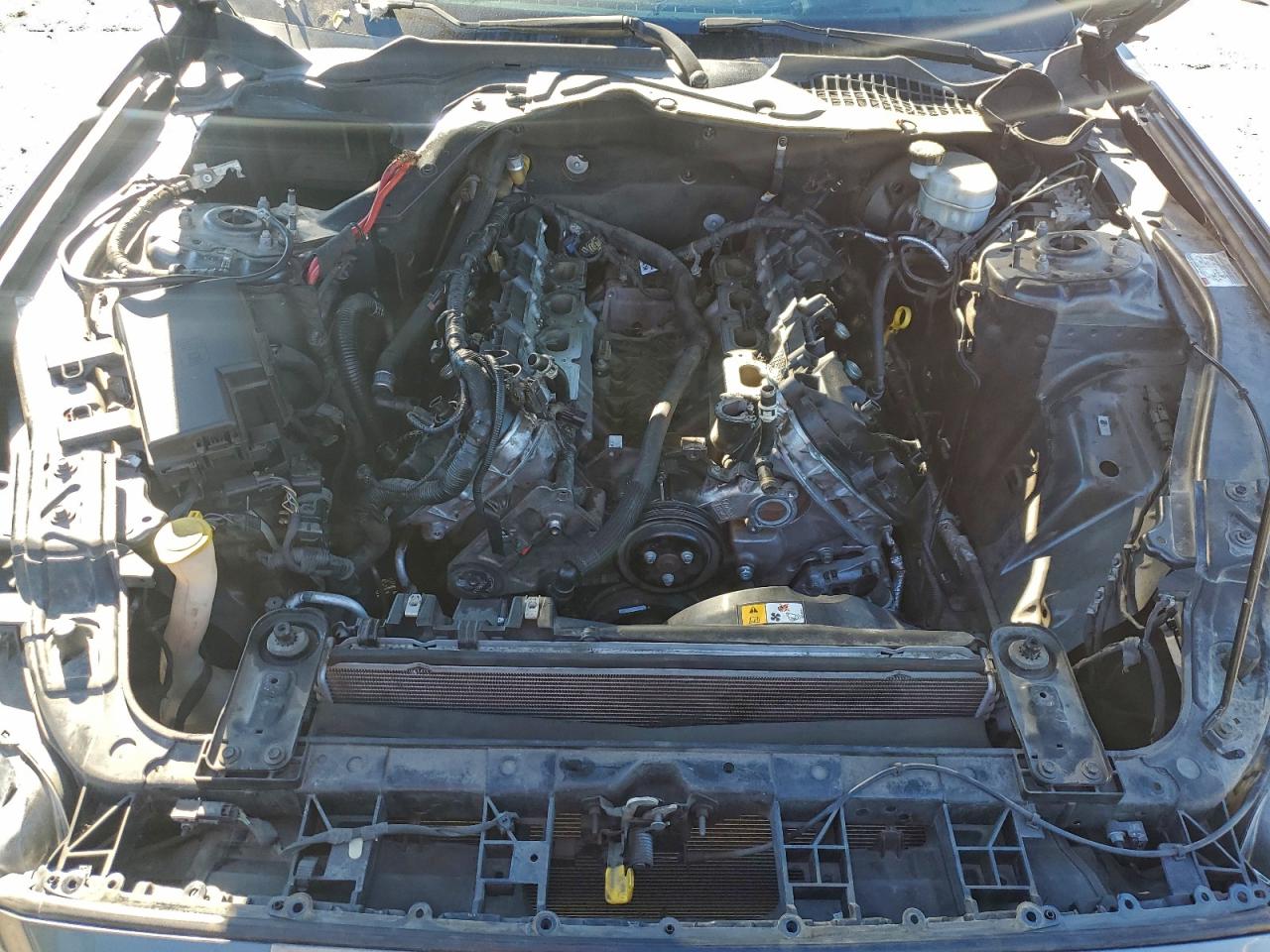 2017 Ford Mustang Gt VIN: 1FA6P8CF0H5344663 Lot: 94345515