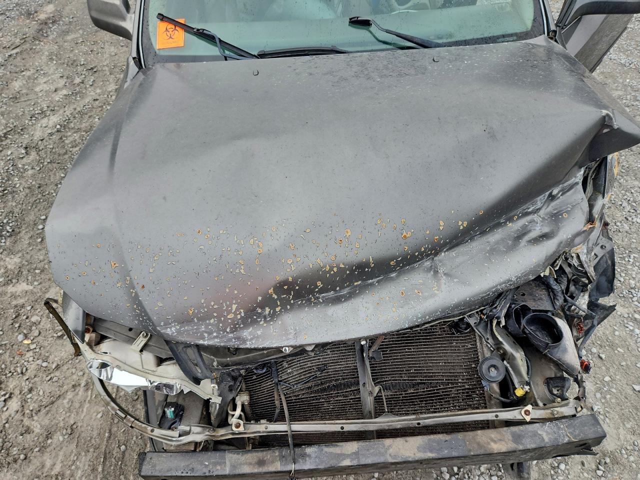 2004 Toyota Avalon Xl VIN: 4T1BF28BX4U366647 Lot: 94039025