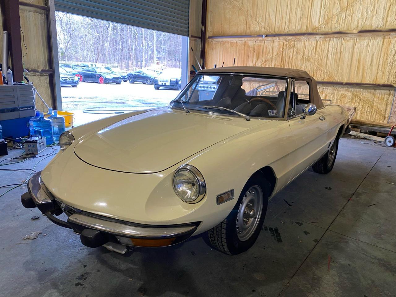1973 Alfa Romeo Spider white null null AR3041681 photo #3