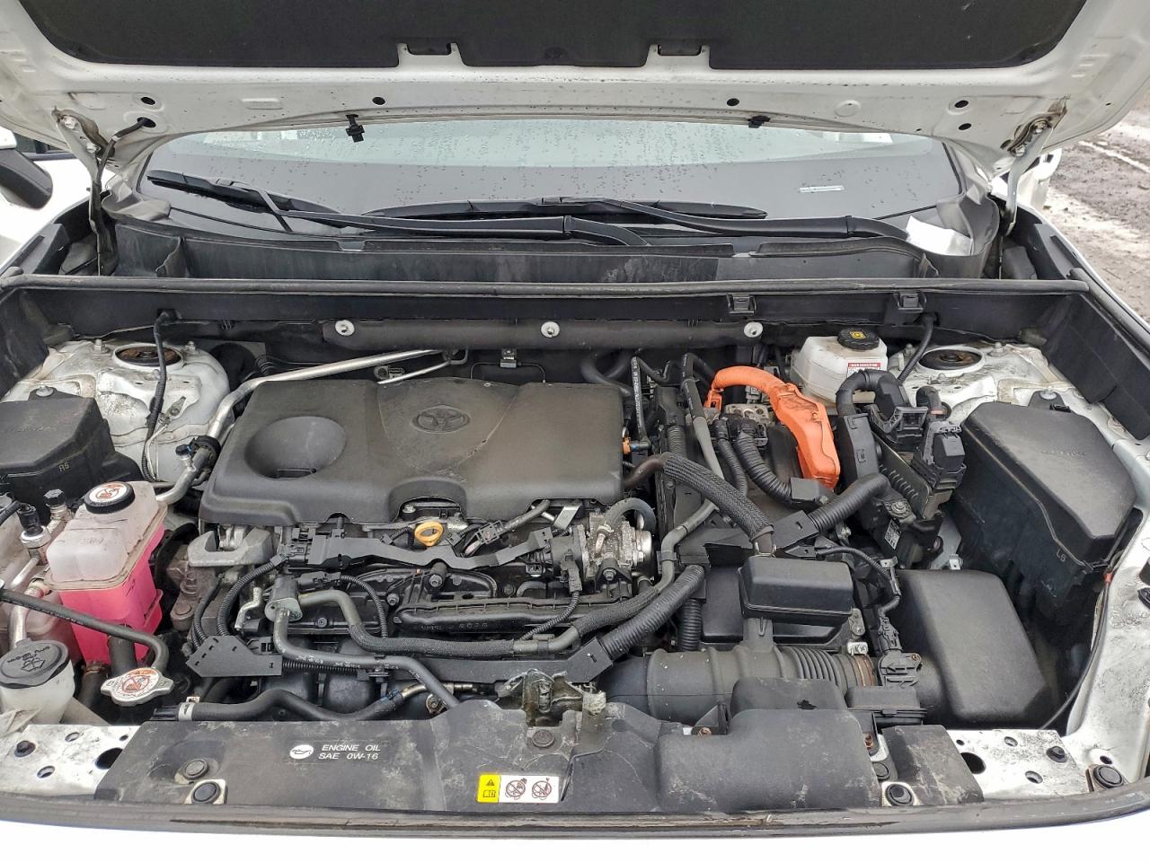 2022 Toyota Rav4 Se VIN: 2T34WRFV3NW146872 Lot: 92190185