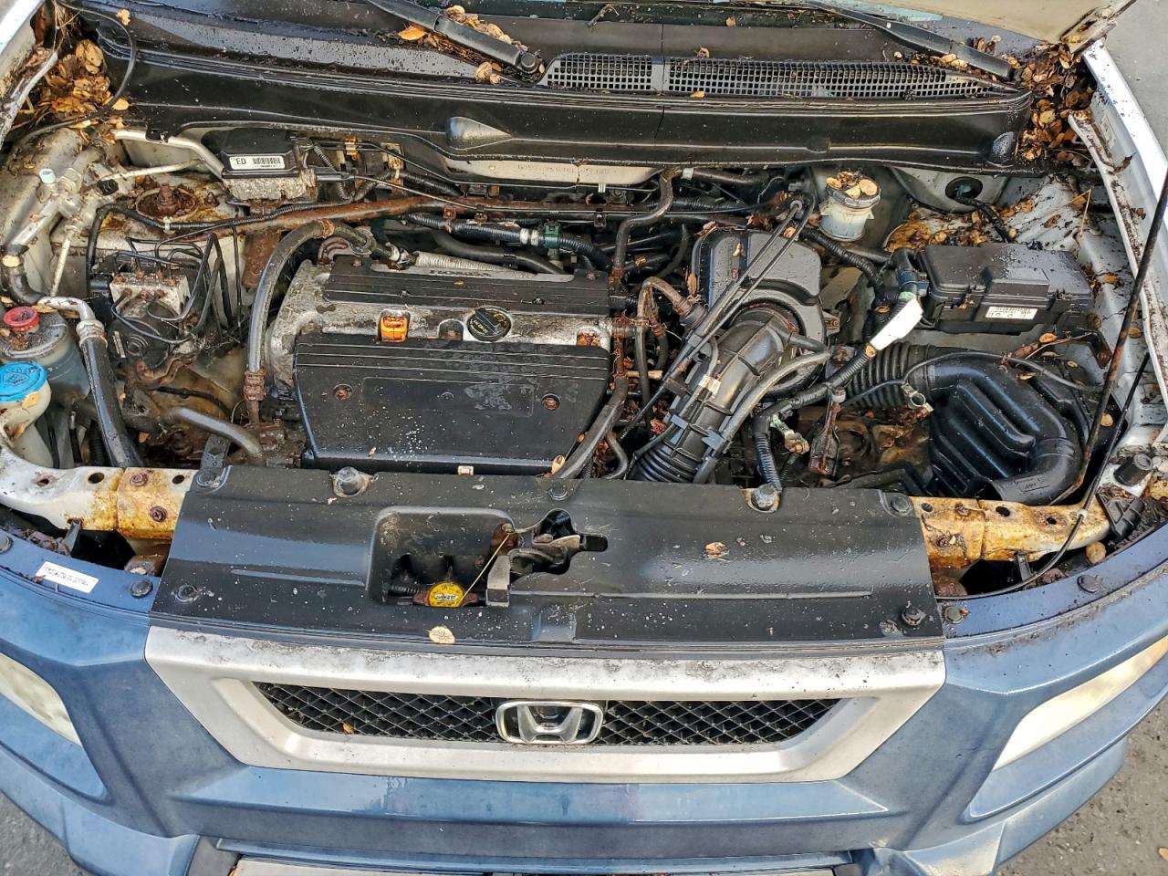 2005 Honda Element Ex VIN: 5J6YH28695L029948 Lot: 92858955