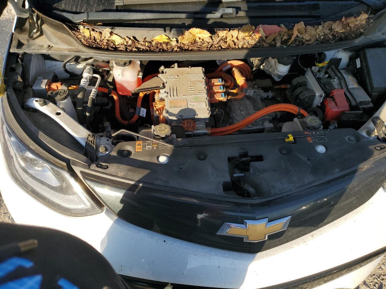 2019 Chevrolet Bolt Ev Lt VIN: 1G1FY6S03K4115604 Lot: 92488445