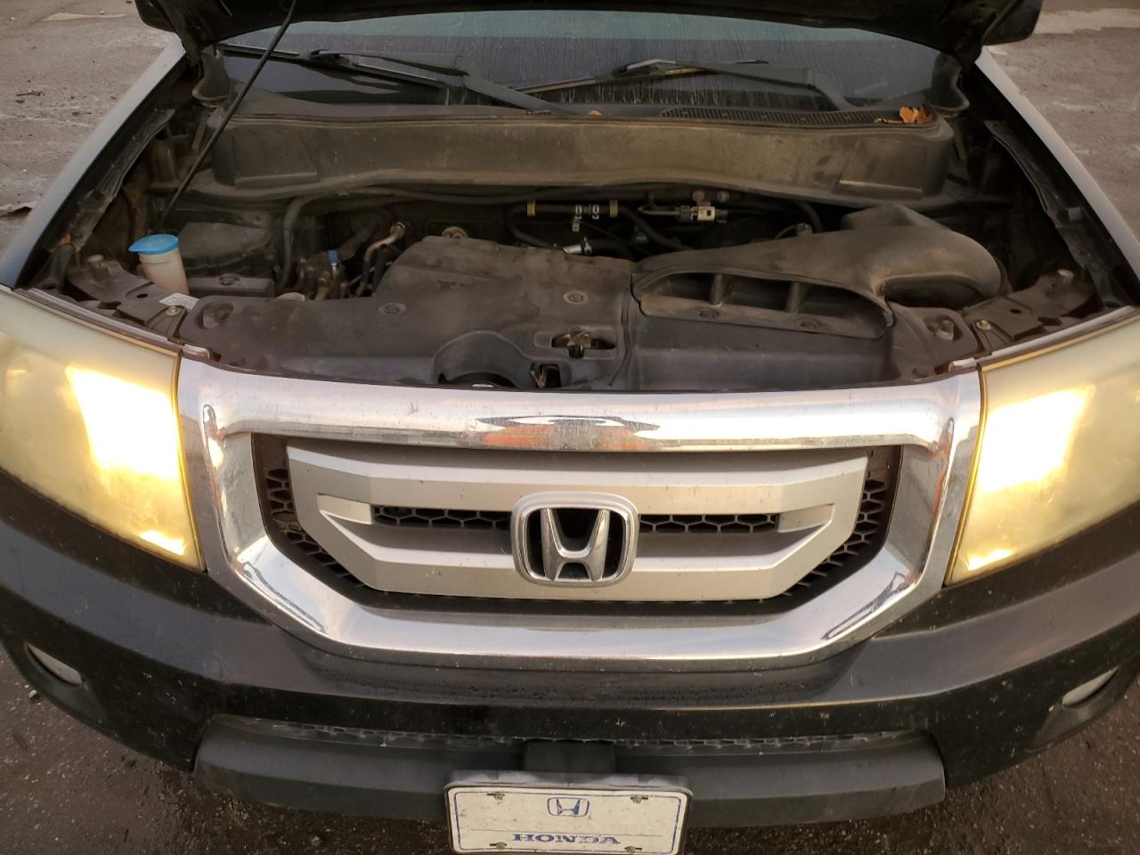 2011 Honda Pilot Exl VIN: 5FNYF3H65BB055656 Lot: 93477735