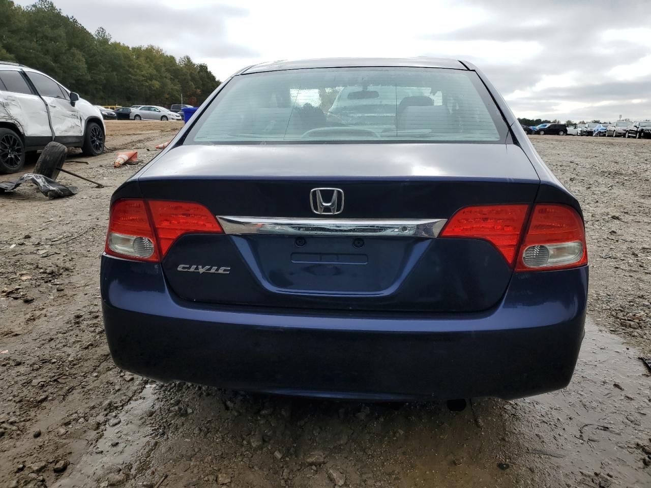 2010 Honda Civic Lx VIN: 2HGFA1F51AH554968 Lot: 91054545