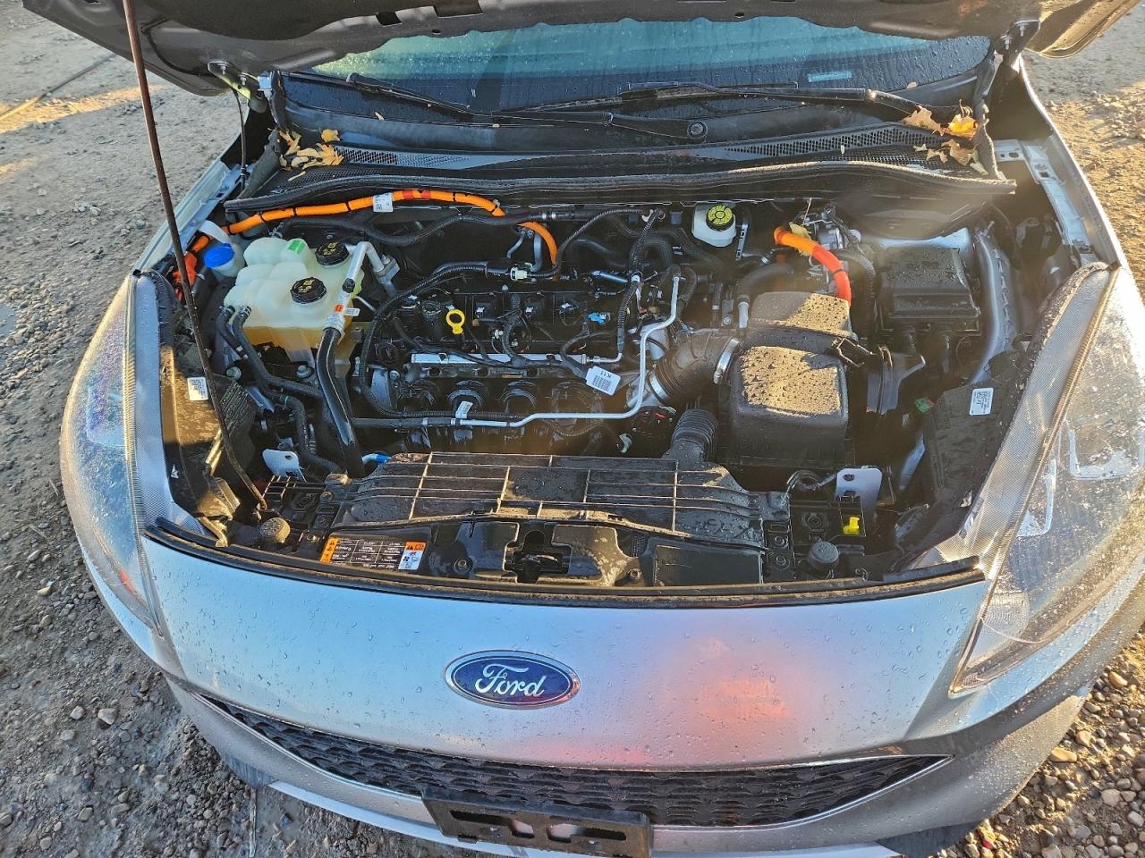 2021 Ford Escape Se VIN: 1FMCU0BZ9MUA67803 Lot: 93765085