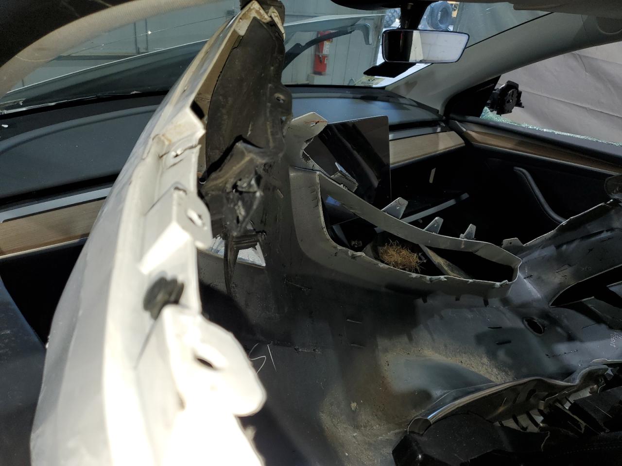 2025 Tesla Model Y VIN: 7SAYGDED7SF219661 Lot: 81335665