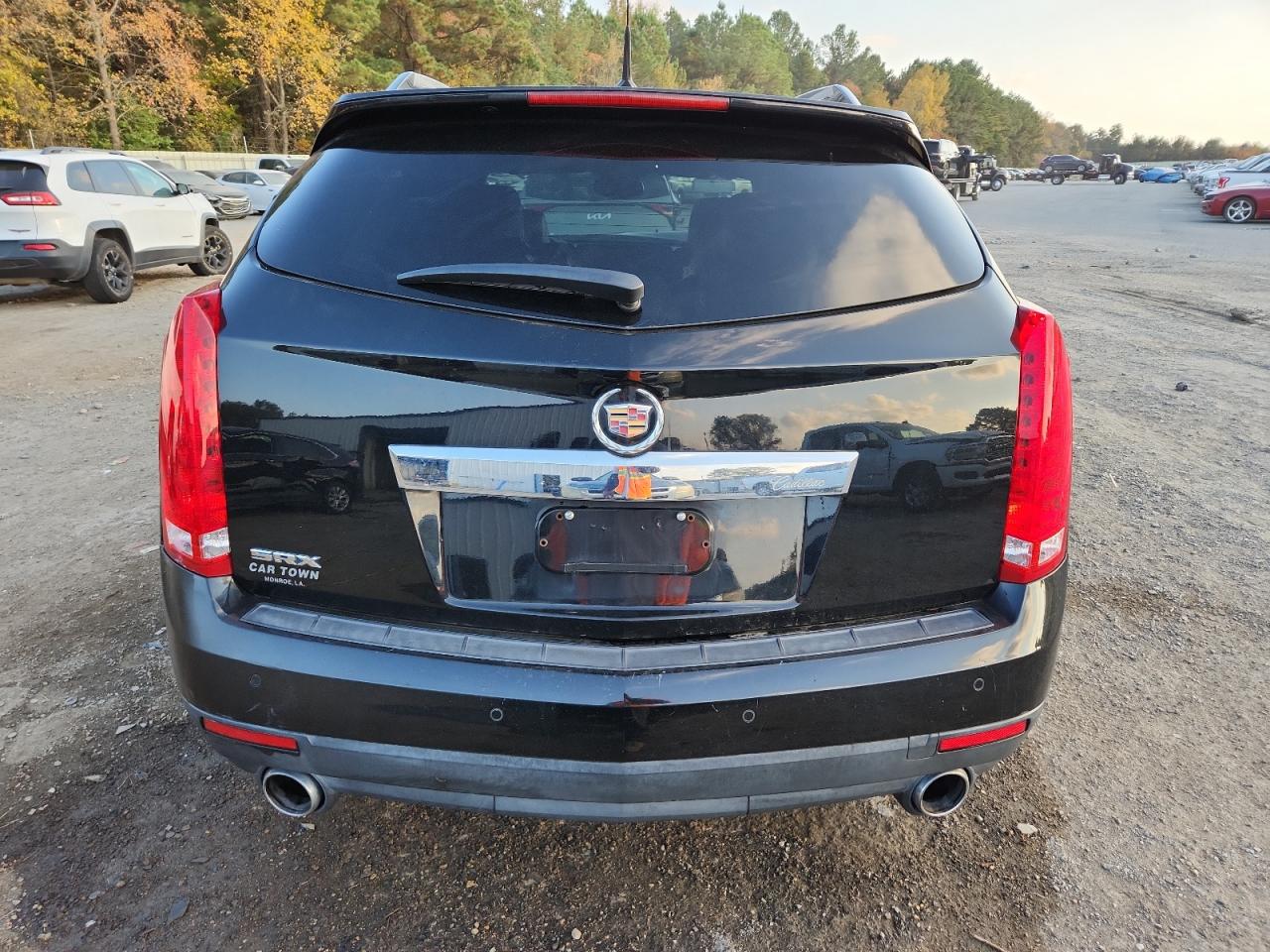 2010 Cadillac Srx Luxury Collection VIN: 3GYFNAEY7AS606089 Lot: 92078095