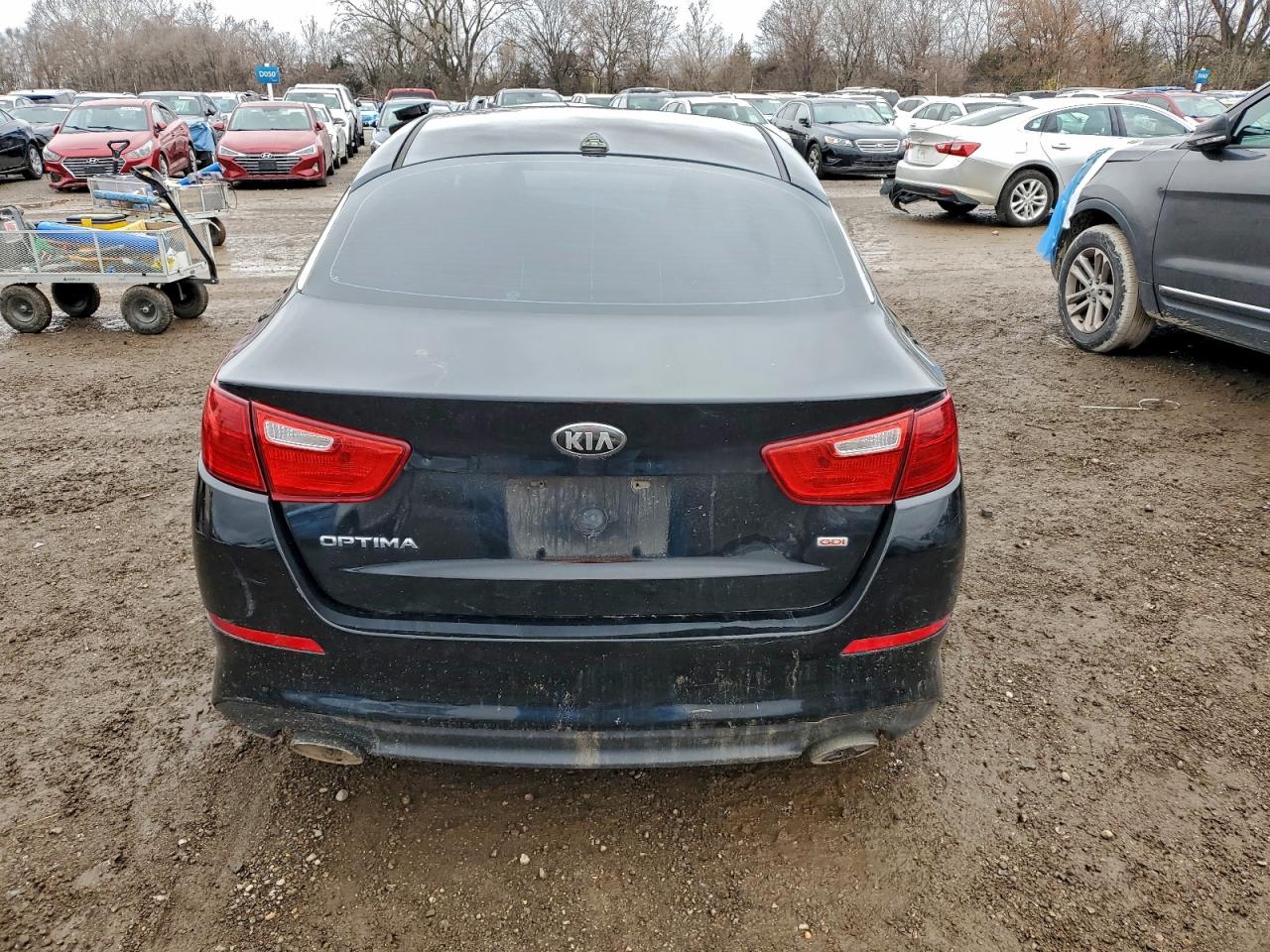 2014 Kia Optima Lx VIN: 5XXGM4A79EG316167 Lot: 94495875