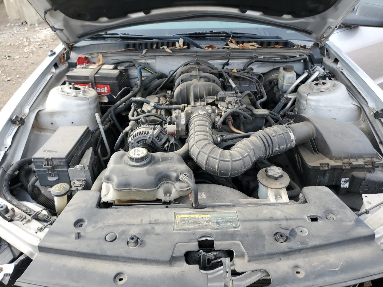 2009 Ford Mustang VIN: 1ZVHT80N895120209 Lot: 93017845